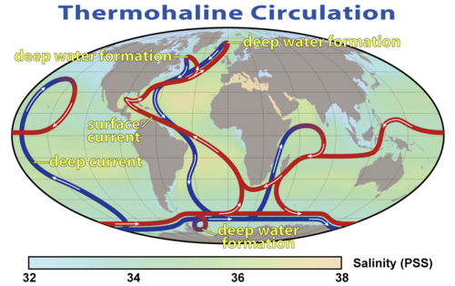 Meridional Overturning Circulation
